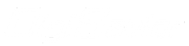 digisavior white logo