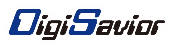 logo digisavior